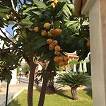 Alojamento de Acomodação e Pequeno-almoço Marricriu Beb And Pool 4*