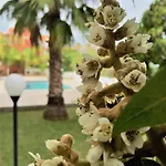 Marricriu Beb And Pool Alojamento de Acomodação e Pequeno-almoço 4*