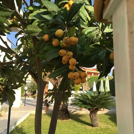 Marricriu